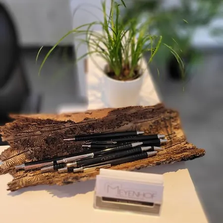 Meyenhof Frankenberg Eder 여관 *