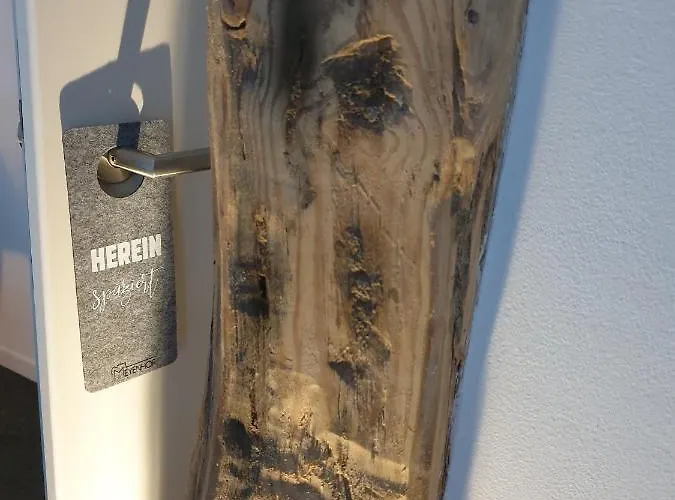 Meyenhof Frankenberg Eder 여관 프랑켄베르크작센